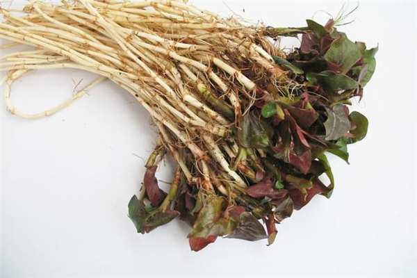 魚腥草可以去腥味嗎 魚腥草怎么去腥 魚腥草可以去腥味嗎 魚腥草怎么去腥