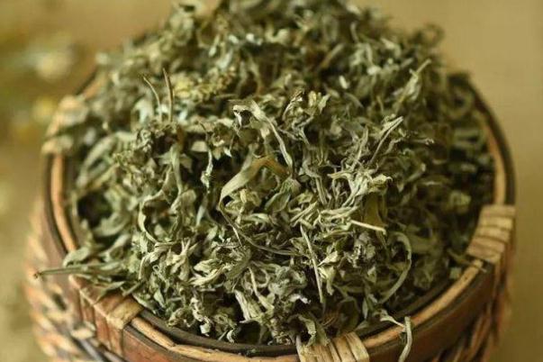 艾葉有活血的作用嗎 艾葉有降血糖的作用嗎 艾葉有活血的作用嗎 艾葉有降血糖的作用嗎