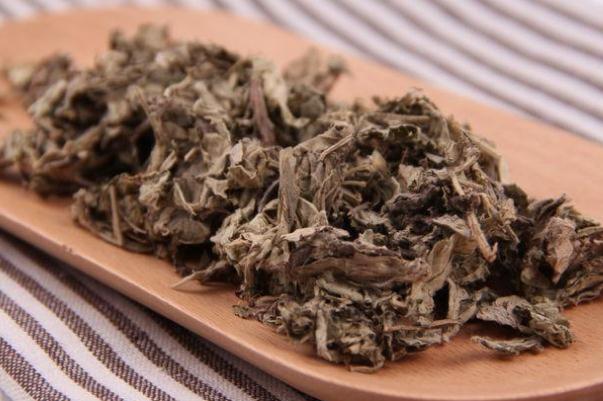 艾葉可以去濕氣嗎 艾葉可以治濕疹嗎 艾葉可以去濕氣嗎 艾葉可以治濕疹嗎