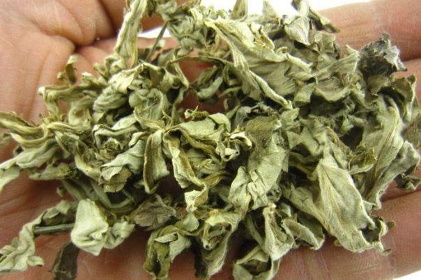 艾葉可以去濕氣嗎 艾葉可以治濕疹嗎 艾葉可以去濕氣嗎 艾葉可以治濕疹嗎