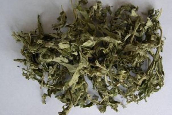 艾葉可以食用嗎 艾葉可以泡水喝嗎 艾葉可以食用嗎 艾葉可以泡水喝嗎