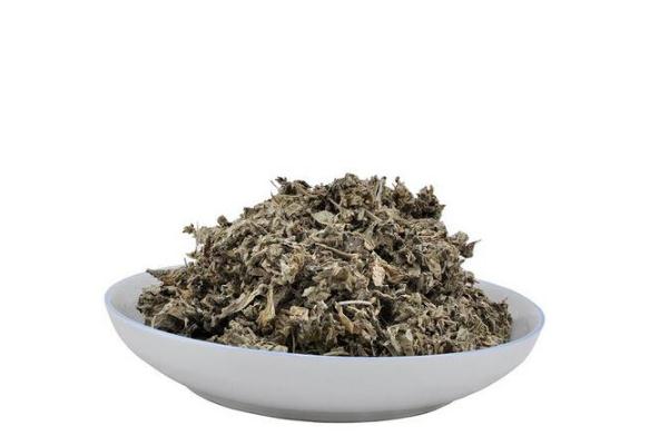 艾葉有幾種 艾葉什么品種最好 艾葉有幾種 艾葉什么品種最好