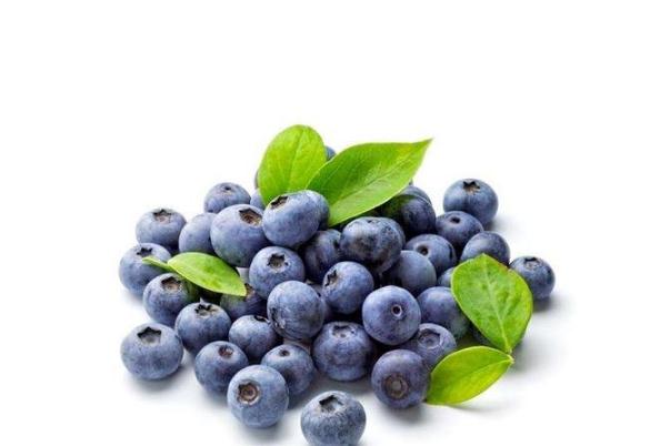 藍(lán)莓可以一天吃一盒嗎 藍(lán)莓可以吃皮嗎 藍(lán)莓可以一天吃一盒嗎 藍(lán)莓可以吃皮嗎