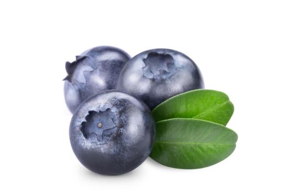 藍(lán)莓可以放幾天 藍(lán)莓放冰箱可以放多久 藍(lán)莓可以放幾天 藍(lán)莓放冰箱可以放多久