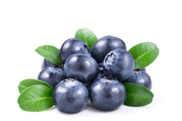 藍(lán)莓有啥營(yíng)養(yǎng) 藍(lán)莓有什么用 藍(lán)莓有啥營(yíng)養(yǎng) 藍(lán)莓有什么用