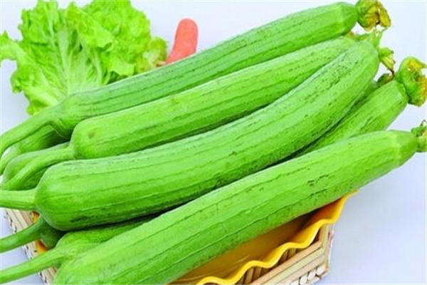 苦絲瓜怎么分辨 苦絲瓜怎么去苦 苦絲瓜怎么分辨 苦絲瓜怎么去苦