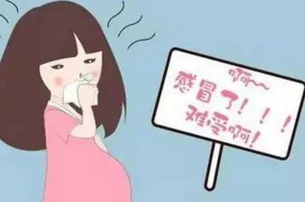 孕婦感冒會加重孕吐嗎 孕婦感冒會導(dǎo)致羊水少嗎 孕婦感冒會加重孕吐嗎 孕婦感冒會導(dǎo)致羊水少嗎
