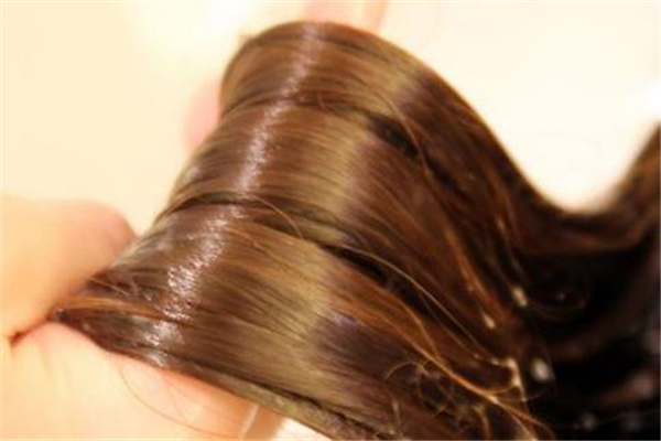 雞蛋清可以護(hù)發(fā)嗎 雞蛋清護(hù)發(fā)的正確方法 雞蛋清可以護(hù)發(fā)嗎 雞蛋清護(hù)發(fā)的正確方法