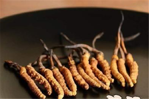 蟲(chóng)草可以調(diào)理月經(jīng)嗎 蟲(chóng)草孕婦可以吃嗎 蟲(chóng)草可以調(diào)理月經(jīng)嗎 蟲(chóng)草孕婦可以吃嗎