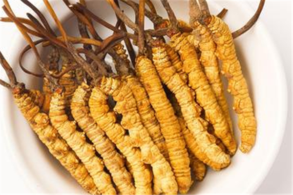 蟲(chóng)草可以調(diào)理月經(jīng)嗎 蟲(chóng)草孕婦可以吃嗎 蟲(chóng)草可以調(diào)理月經(jīng)嗎 蟲(chóng)草孕婦可以吃嗎