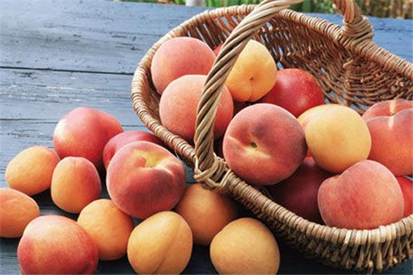 桃子會不會上火 桃子是熱性還是涼性的 桃子會不會上火 桃子是熱性還是涼性的