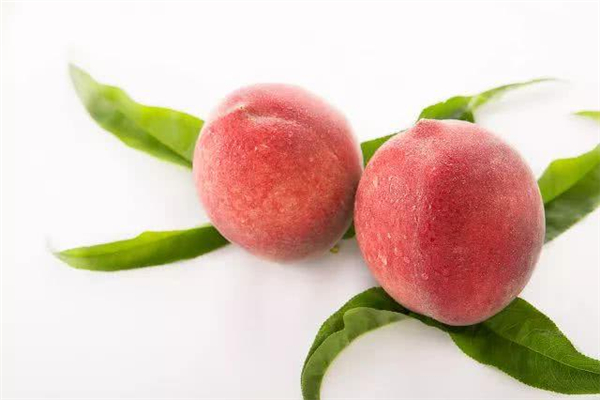 桃子什么季節(jié)吃最好 桃子怎么挑選 桃子什么季節(jié)吃最好 桃子怎么挑選