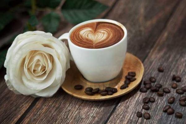 咖啡可以空腹喝嗎 咖啡可以冷水沖泡嗎 咖啡可以空腹喝嗎 咖啡可以冷水沖泡嗎