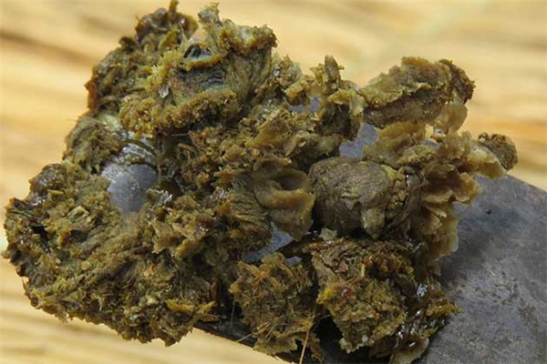 蜂膠和蜂膠膠囊有什么區(qū)別 蜂膠和蜂膠膠囊哪個(gè)好 蜂膠和蜂膠膠囊有什么區(qū)別 蜂膠和蜂膠膠囊哪個(gè)好