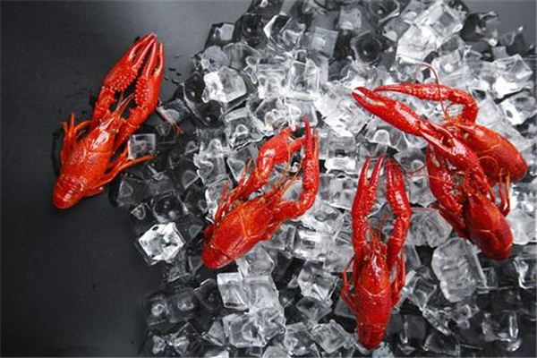 小龍蝦用不用焯水 小龍蝦用水焯好還是用油炸好 小龍蝦用不用焯水 小龍蝦用水焯好還是用油炸好