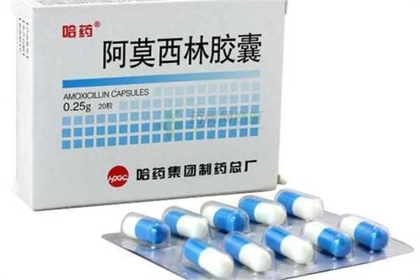 阿莫西林吃了能喝酒嗎 阿莫西林吃了多久能見效 阿莫西林吃了能喝酒嗎 阿莫西林吃了多久能見效