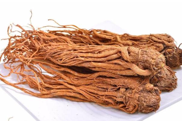 當歸是熱性還是涼性 當歸是補血的嗎 當歸是熱性還是涼性 當歸是補血的嗎