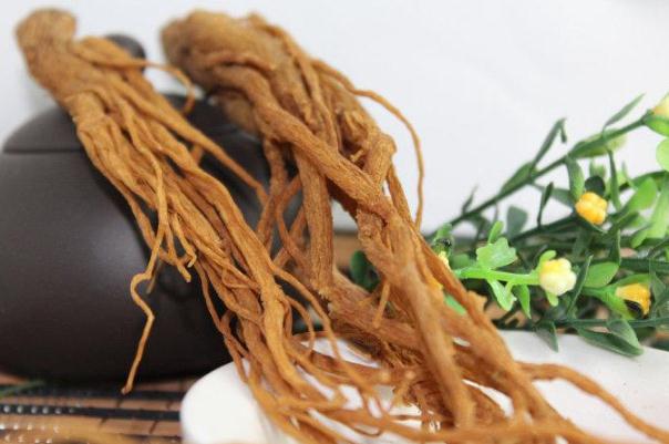 當(dāng)歸對(duì)子宮有什么好處 當(dāng)歸要煮多久才有效 當(dāng)歸對(duì)子宮有什么好處 當(dāng)歸要煮多久才有效