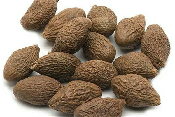 胖大海治咽炎嗎 胖大海的正確泡法 胖大海治咽炎嗎 胖大海的正確泡法