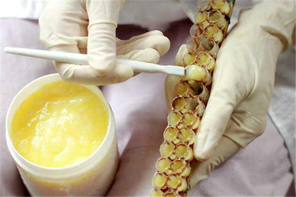 蜂王漿怎么生產(chǎn)出來的 蜂王漿是怎么形成的 蜂王漿怎么生產(chǎn)出來的 蜂王漿是怎么形成的