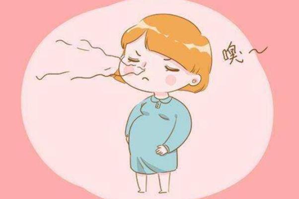 孕吐會(huì)胃疼嗎 孕吐會(huì)頭暈嗎 孕吐會(huì)胃疼嗎 孕吐會(huì)頭暈嗎