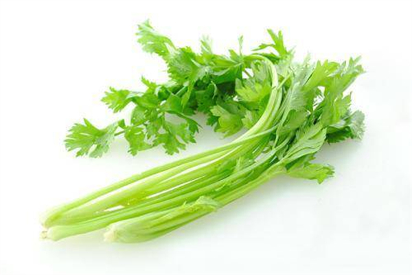 芹菜可以降高血壓嗎 芹菜降壓效果怎么樣 芹菜可以降高血壓嗎 芹菜降壓效果怎么樣