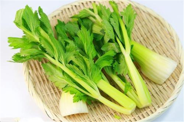 芹菜殺精是真的嗎 芹菜有什么功效和作用 芹菜殺精是真的嗎 芹菜有什么功效和作用