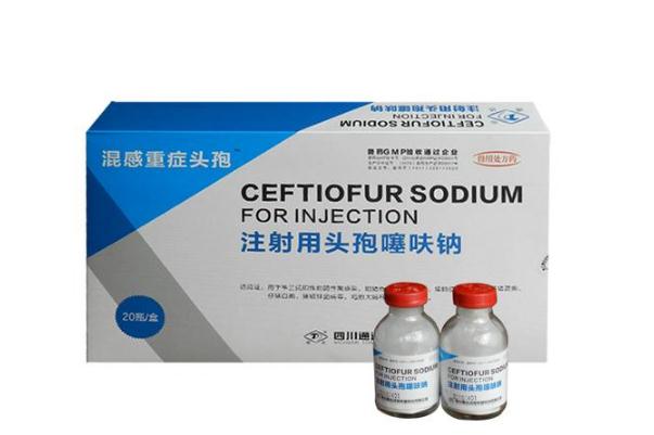 頭孢的過敏反應有哪些 頭孢的禁忌有哪些 頭孢的過敏反應有哪些 頭孢的禁忌有哪些