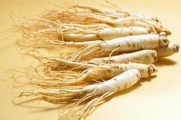 人參對心臟的好處有哪些 人參對腎臟有好處嗎 人參對心臟的好處有哪些 人參對腎臟有好處嗎