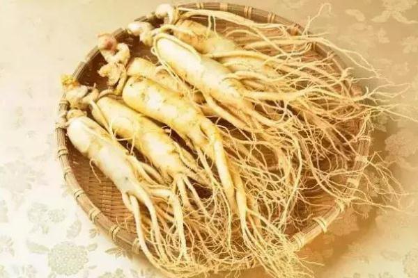 人參泡水喝的正確方法 人參泡水多久喝一次 人參泡水喝的正確方法 人參泡水多久喝一次