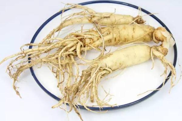 人參為什么不能和蘿卜同食 人參和蘿卜一起吃會(huì)怎么樣 人參為什么不能和蘿卜同食 人參和蘿卜一起吃會(huì)怎么樣