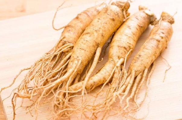 人參可以燉雞湯嗎 人參可以用什么代替 人參可以燉雞湯嗎 人參可以用什么代替