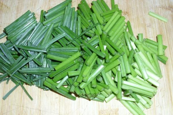 韭菜和什么食物搭配最好 韭菜可以隔夜吃嗎 韭菜和什么食物搭配最好 韭菜可以隔夜吃嗎