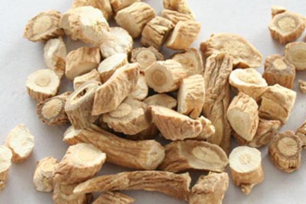 板藍根可以預(yù)防流感嗎 板藍根可以和阿莫西林一起吃么 板藍根可以預(yù)防流感嗎 板藍根可以和阿莫西林一起吃么