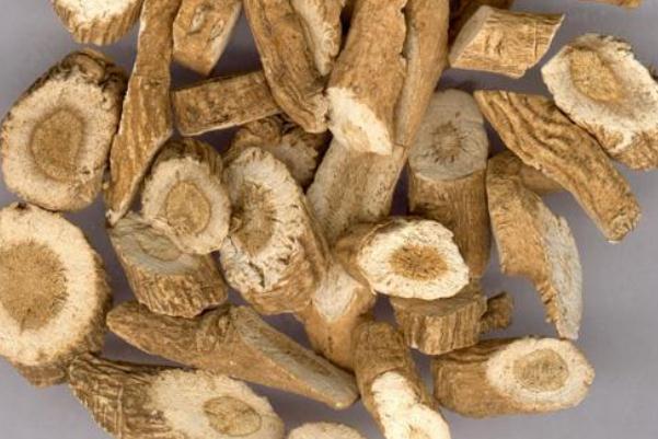 板藍(lán)根治感冒嗎 板藍(lán)根治療哪種感冒 板藍(lán)根治感冒嗎 板藍(lán)根治療哪種感冒