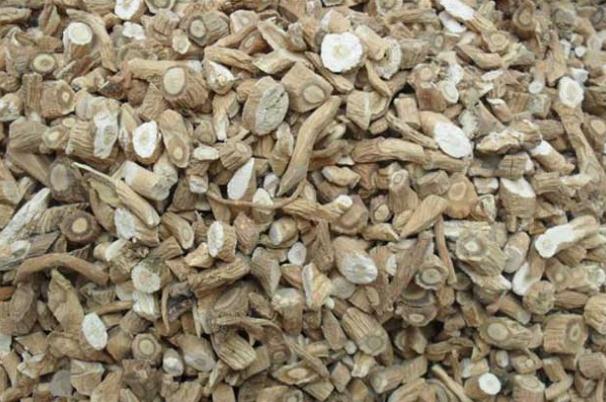 板藍(lán)根會(huì)使血糖升高嗎 板藍(lán)根對(duì)感冒有效嗎 板藍(lán)根會(huì)使血糖升高嗎 板藍(lán)根對(duì)感冒有效嗎