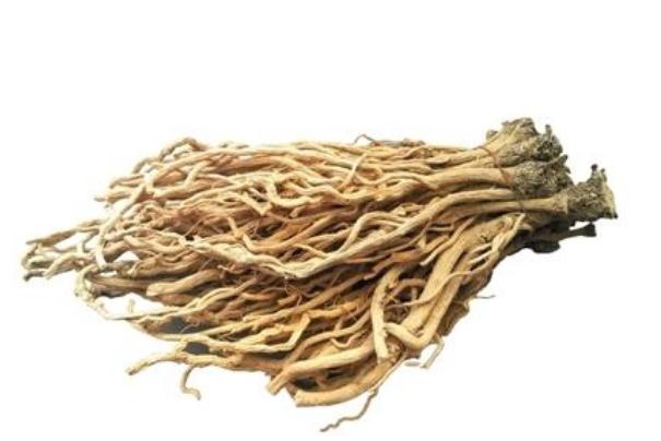 板藍根哺乳期可以喝嗎 板藍根孕婦可以喝嗎 板藍根哺乳期可以喝嗎 板藍根孕婦可以喝嗎