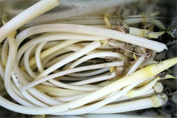 藕帶有寄生蟲嗎 藕帶怎么清洗干凈