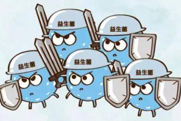 益生菌的作用與功效 益生菌一般吃多長時間 益生菌的作用與功效 益生菌一般吃多長時間