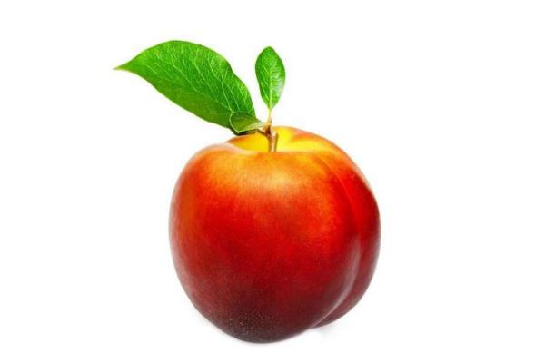 油桃上火還是下火 油桃怎么挑選 油桃上火還是下火 油桃怎么挑選