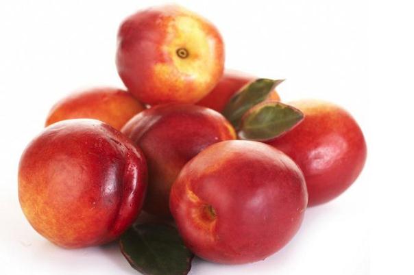 油桃的功效和作用 油桃是熱性還是涼性水果 油桃的功效和作用 油桃是熱性還是涼性水果