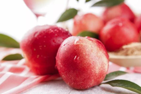 油桃吃多了會胖嗎 油桃吃多了有什么壞處 油桃吃多了會胖嗎 油桃吃多了有什么壞處