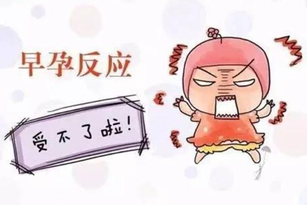 妊娠反應(yīng)一般多久會消失 妊娠反應(yīng)一般持續(xù)多久 妊娠反應(yīng)一般多久會消失 妊娠反應(yīng)一般持續(xù)多久