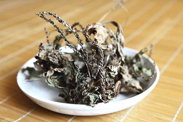 車前草會過敏嗎 車前草會拉肚子嗎 車前草會過敏嗎 車前草會拉肚子嗎