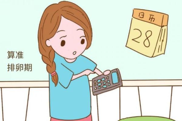 排卵期怎么算才最準確 排卵期有幾天