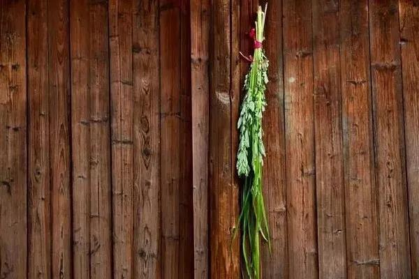 艾葉什么時候掛門上最好 艾葉掛門上的寓意 艾葉什么時候掛門上最好 艾葉掛門上的寓意