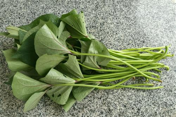 紅薯藤能降尿酸嗎 紅薯藤有什么功效 紅薯藤能降尿酸嗎 紅薯藤有什么功效