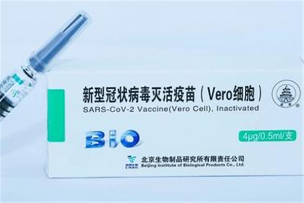 接種新冠疫苗對(duì)男性性功能有影響嗎 接種新冠疫苗對(duì)懷孕有沒(méi)有影響 接種新冠疫苗對(duì)男性性功能有影響嗎 接種新冠疫苗對(duì)懷孕有沒(méi)有影響