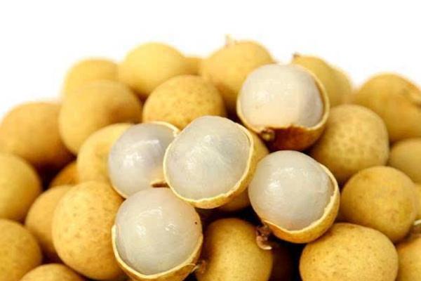 龍眼可以泡水喝嗎 龍眼泡水喝的功效 龍眼可以泡水喝嗎 龍眼泡水喝的功效