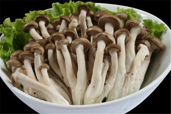 蟹味菇為什么叫這個名字 蟹味菇有螃蟹的味道嗎 蟹味菇為什么叫這個名字 蟹味菇有螃蟹的味道嗎